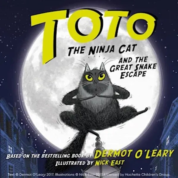 Toto The Ninja Cat