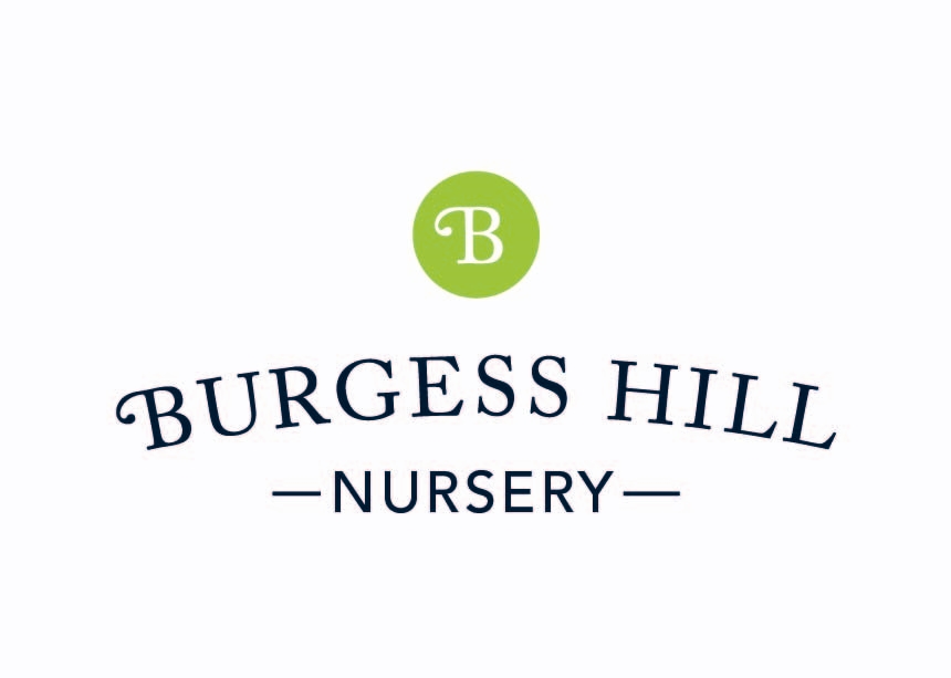 Burgess Hill Nursery