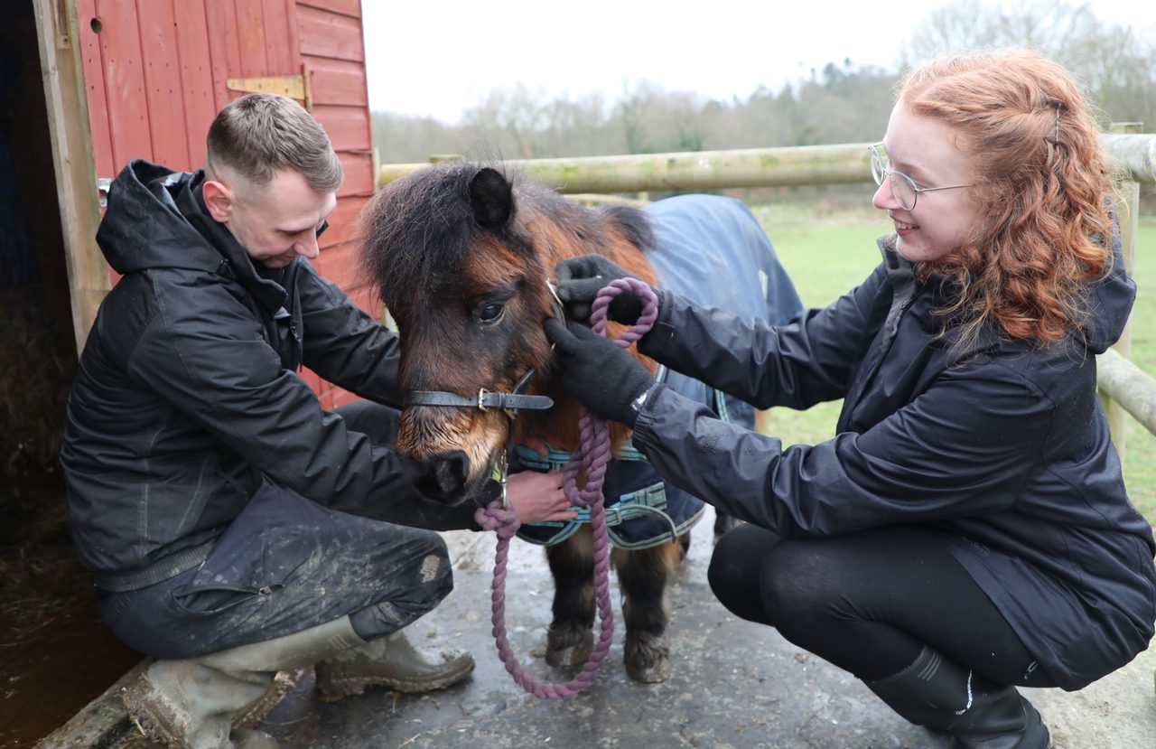 Make a Difference: Volunteer for Chailey Heritage Foundation
