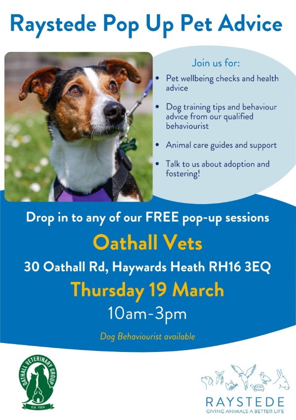 Free Raystede Pop Up Pet Care Advice at Oathall Vets