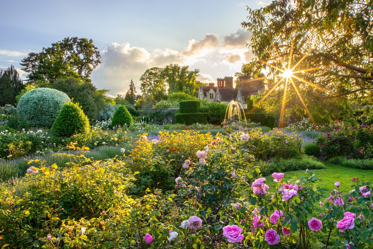 Jay Robins Rose Garden by Claudia Gaupp at Borde Hill