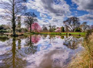 Wakehurst named number one visitor attraction in Sussex two years running