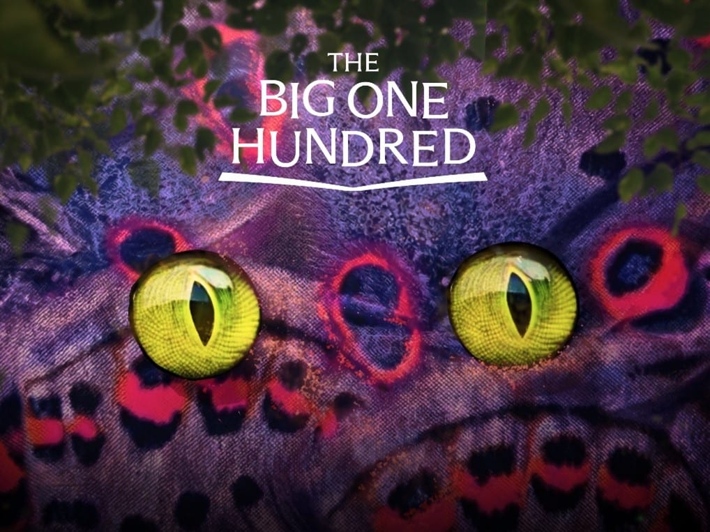 Ashdown Forest presents The Big One Hundred The next chapter for Ashdown Forest