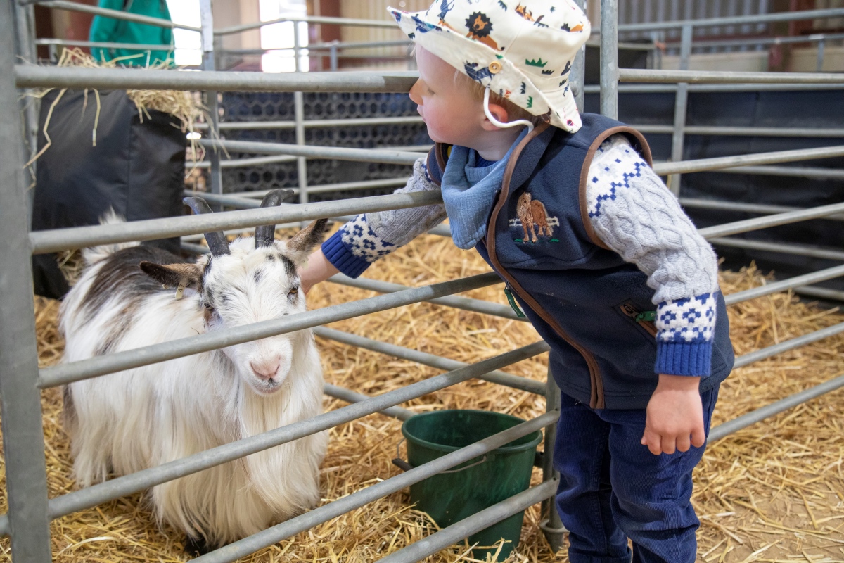 Spring Live! 2026 “huge success” attracting thousands of visitors