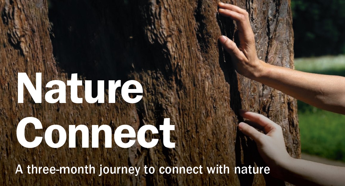 Nature Connect