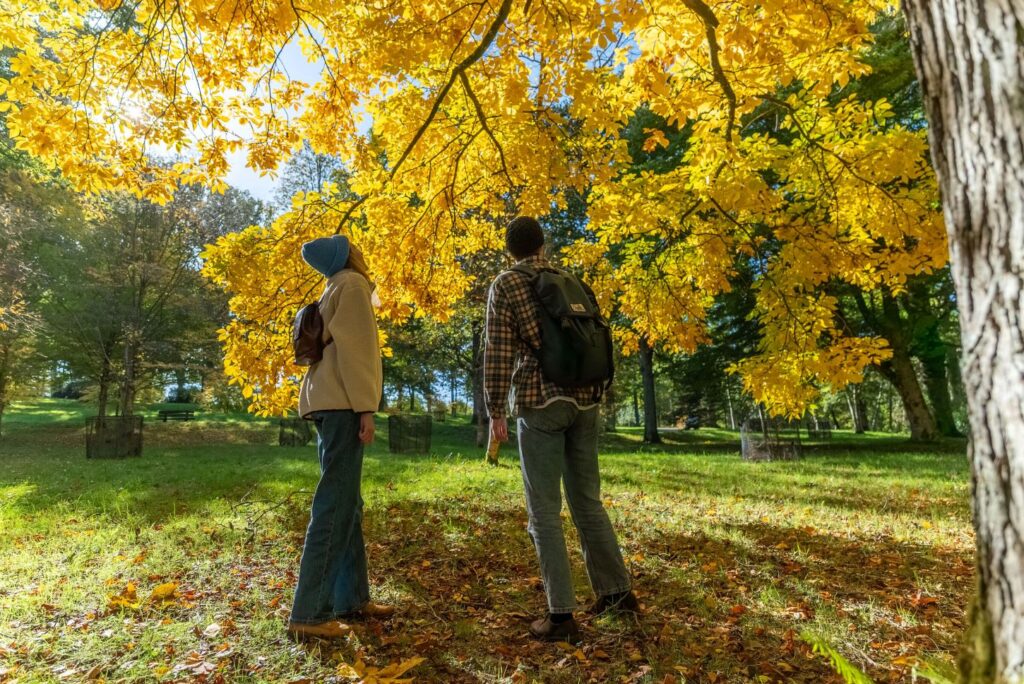 Kew Wakehurst celebrates five years of Nature Unlocked programme with research findings and new studies