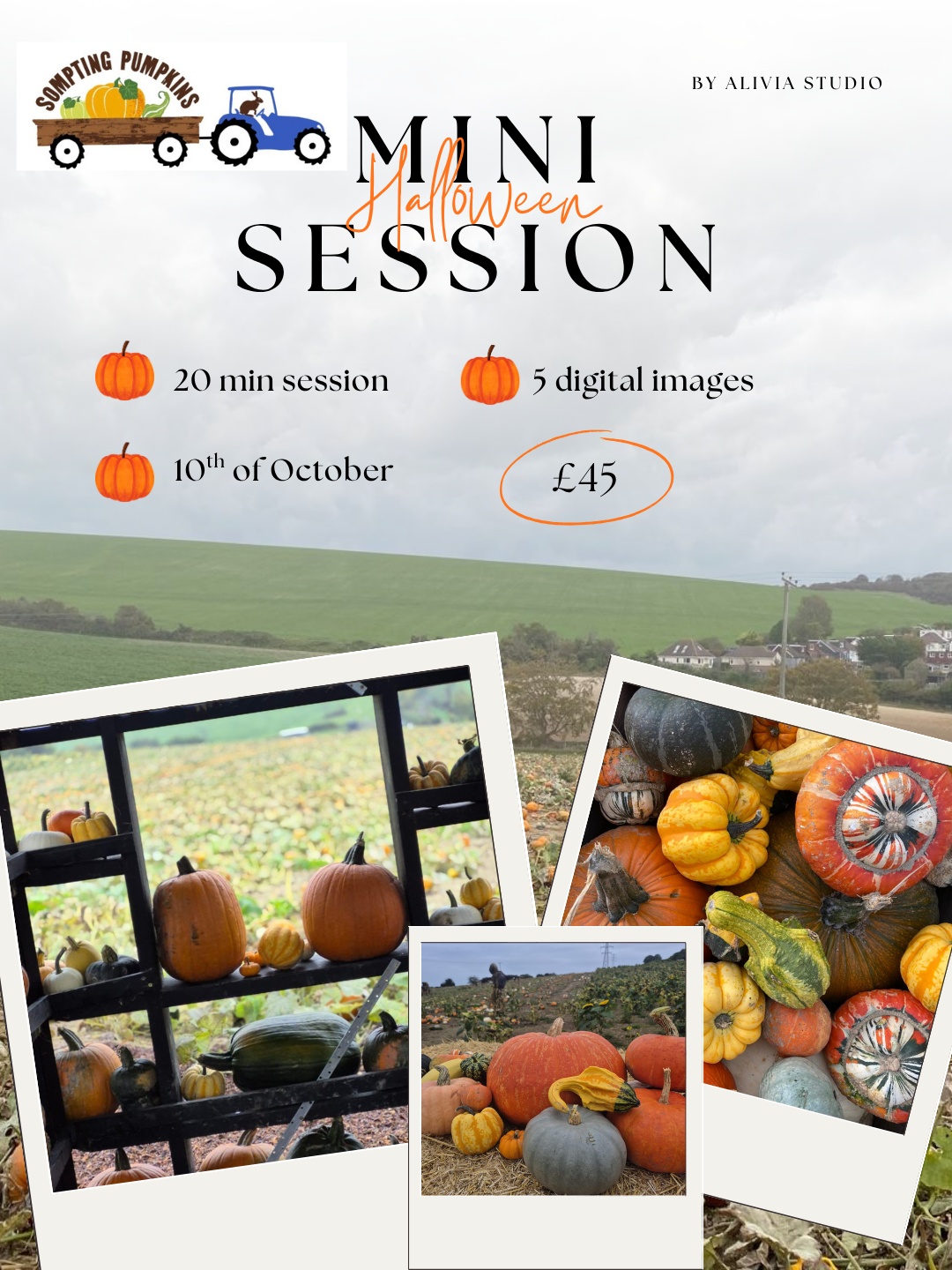 Halloween Mini Photoshoots at Sompting Pumpkins