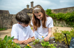 Kew Wakehurst announces record number of school visits