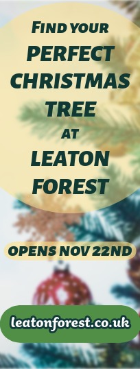 Leaton Forest Christmas Trees Leaton Forest Christmas Trees