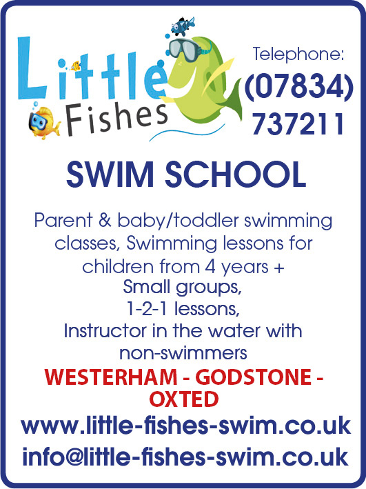 Little Fishes Swim School