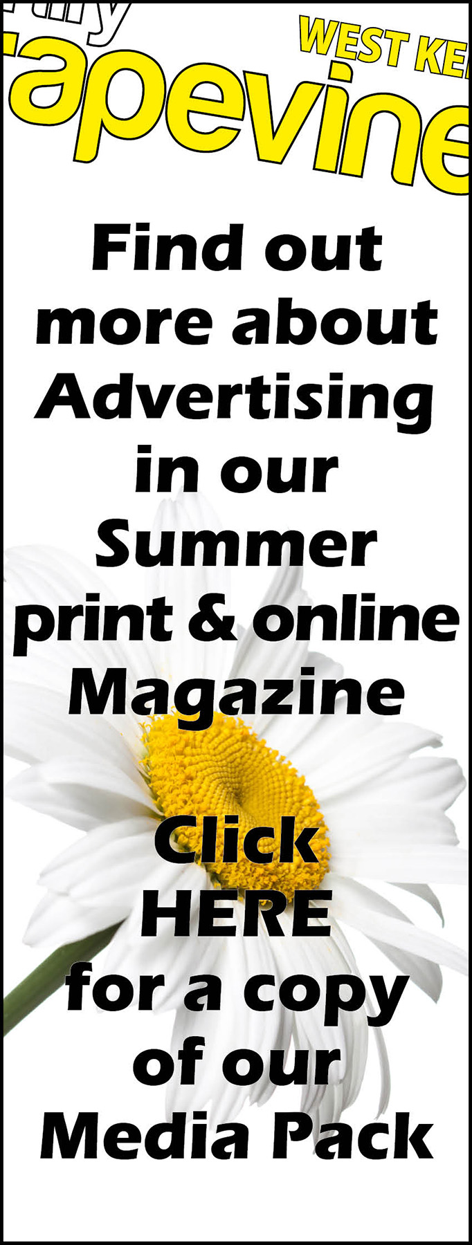 the-west-kent-family-grapevine-media-pack