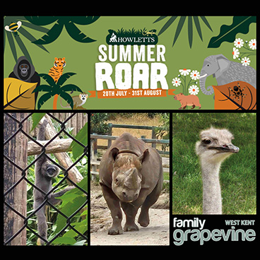 Our Review of Howletts Wild Animal Park - Summer Roar