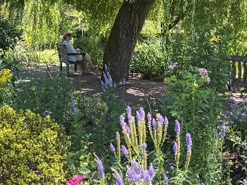 Merriments Gardens Invites Visitors to a Free Summer Open Day this August