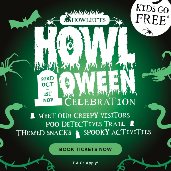 Little Monsters Go FREE at Howletts This Halloween