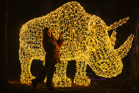 Port Lympne Illuminated - Christmas Experience