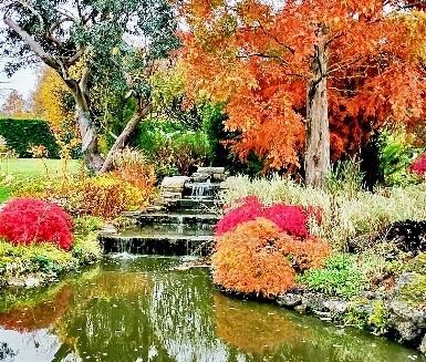 Free Autumn Open Day at Merriments in October