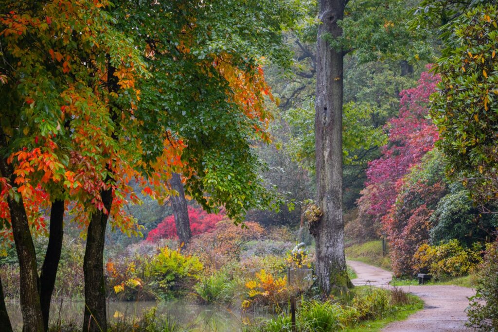Autumn Escapes at Leonardslee Lakes & Gardens