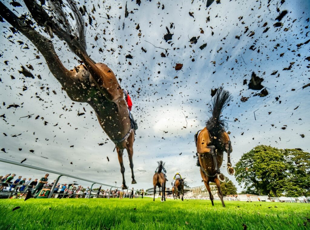 Fontwell Family Festival
