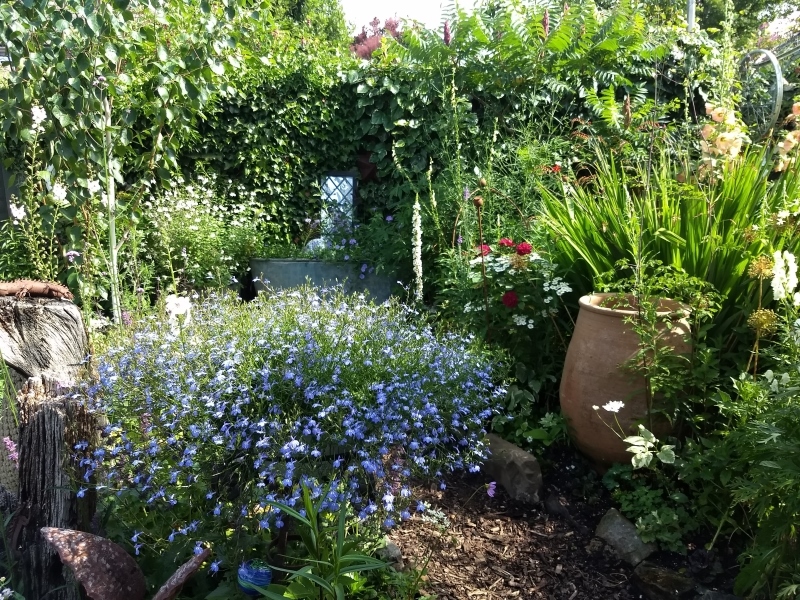 The National Garden Scheme: Foxglove Cottage Horsham