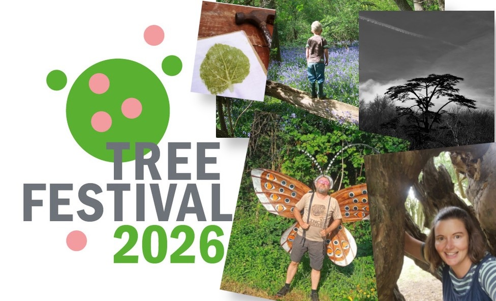 Tree Festival 2026