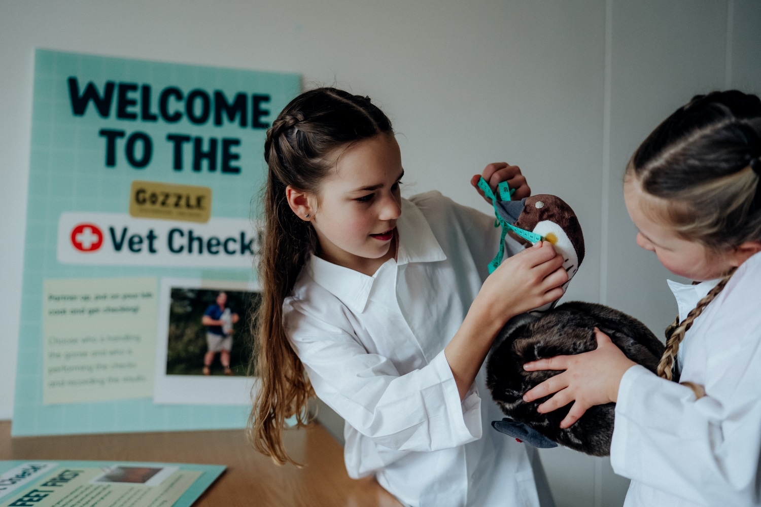 Gozzle Vet Check activity