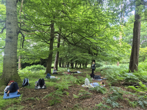 Forest Bathing