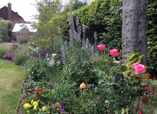 National Garden Scheme: Steyning Gardens