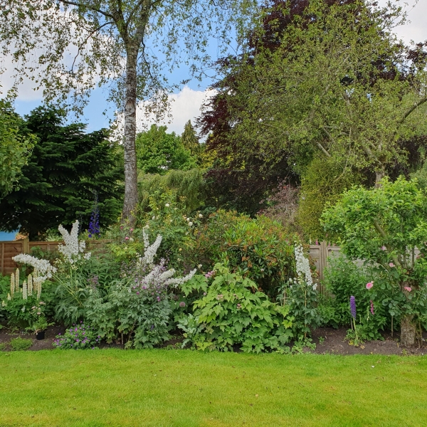 National Garden Scheme: Swallow Lodge