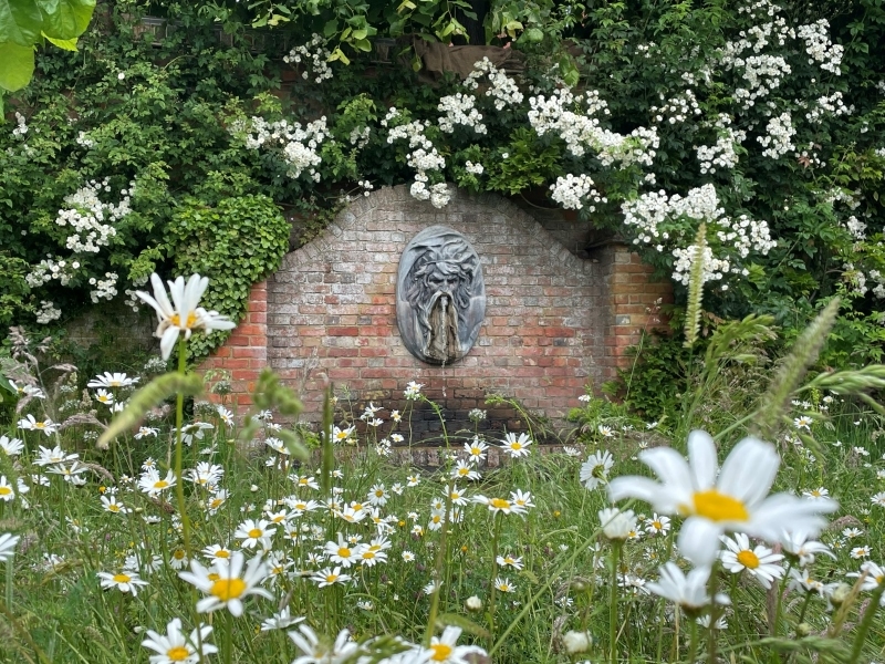 National Garden Scheme: Wadhurst Park