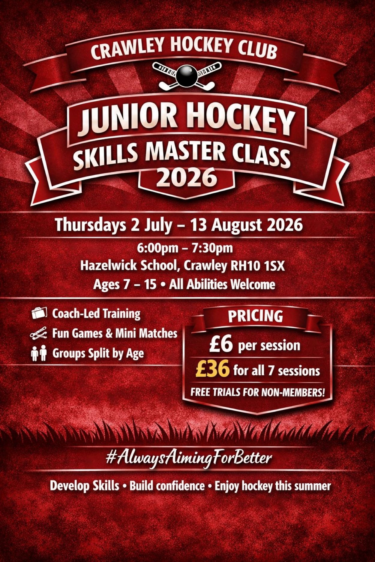 Junior Summer Hockey - Crawley Hockey Club