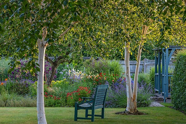 Opening Your Garden for the National Garden Scheme