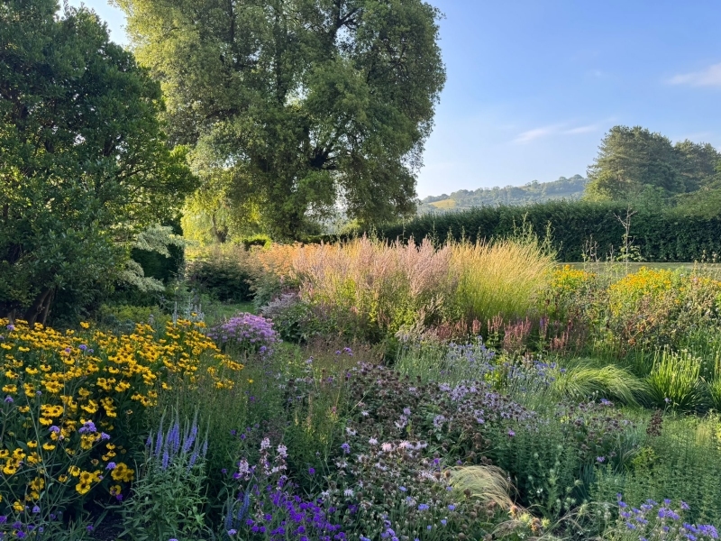National Garden Scheme: Sullington Old Rectory Storrington