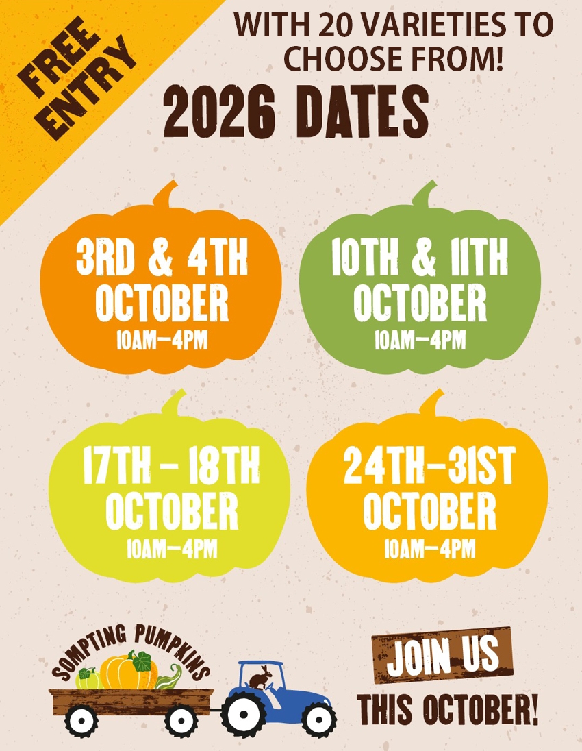 Sompting Pumpkins