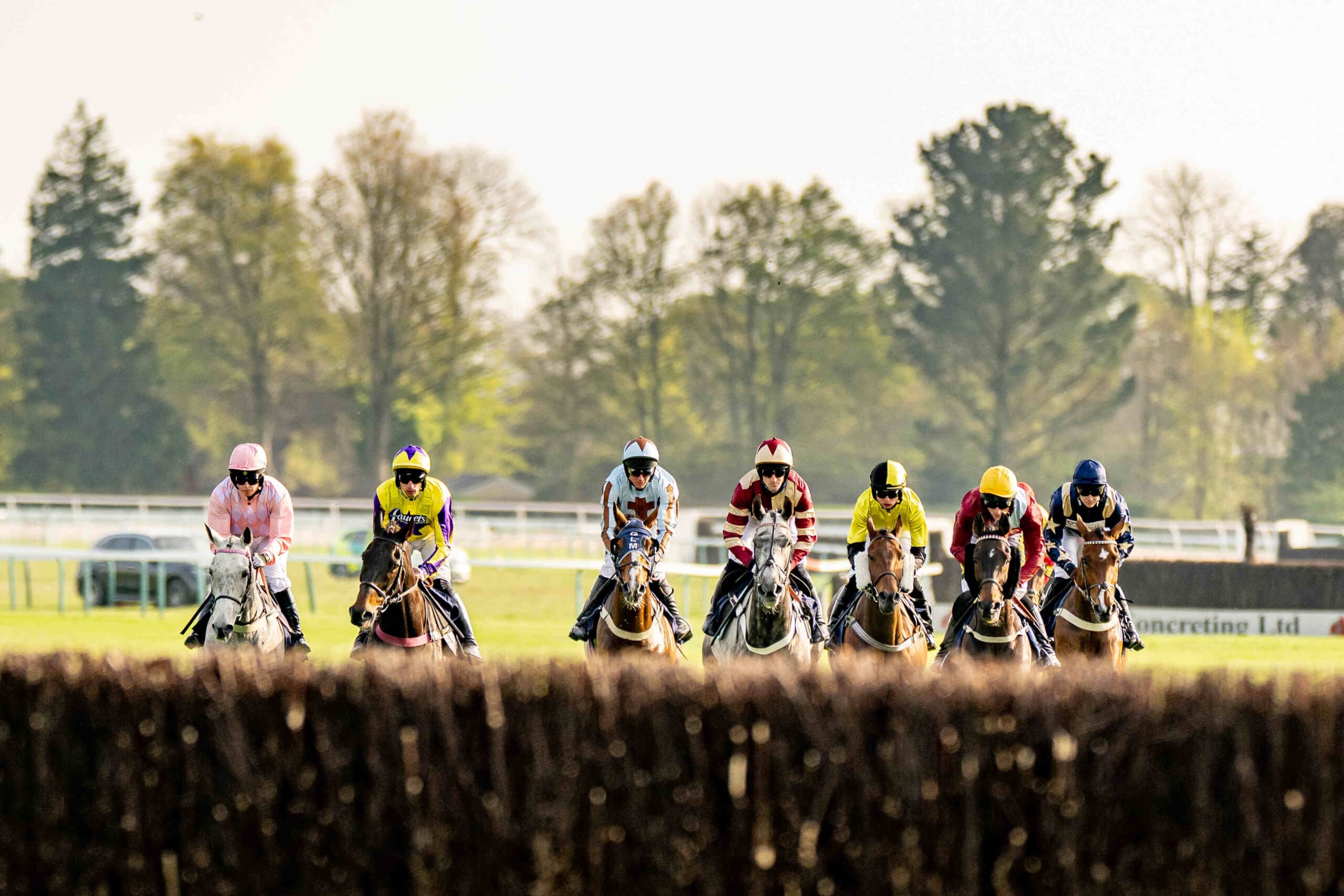 Southern National Raceday