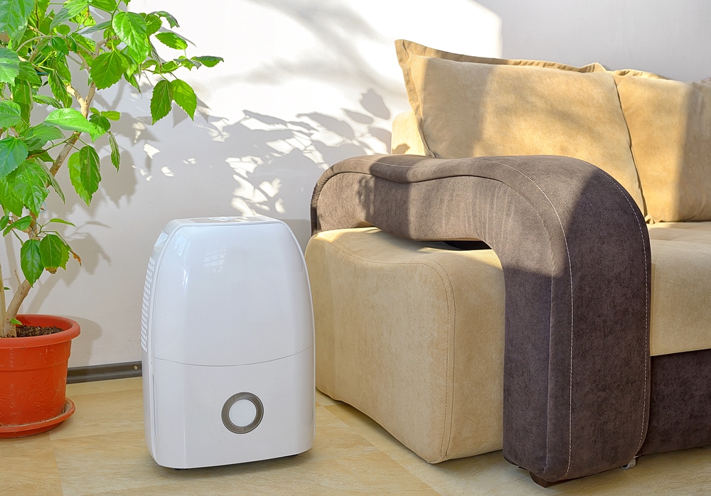 Dehumidifiers 101: How To Finally Say Goodbye To Damp