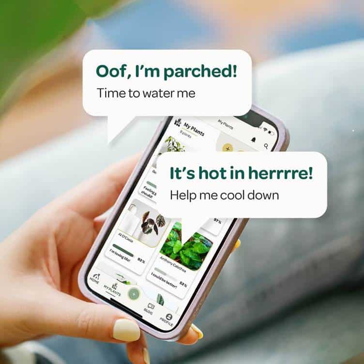 Willow Smart Sensor