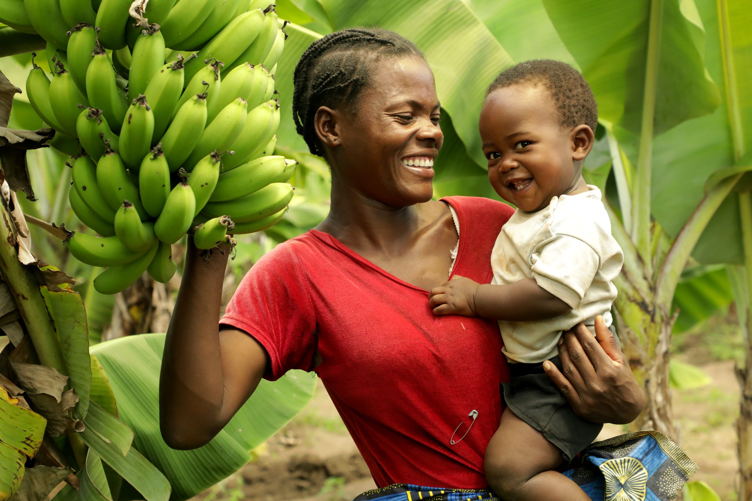 Wrap up some magic this Christmas with a Concern Gift