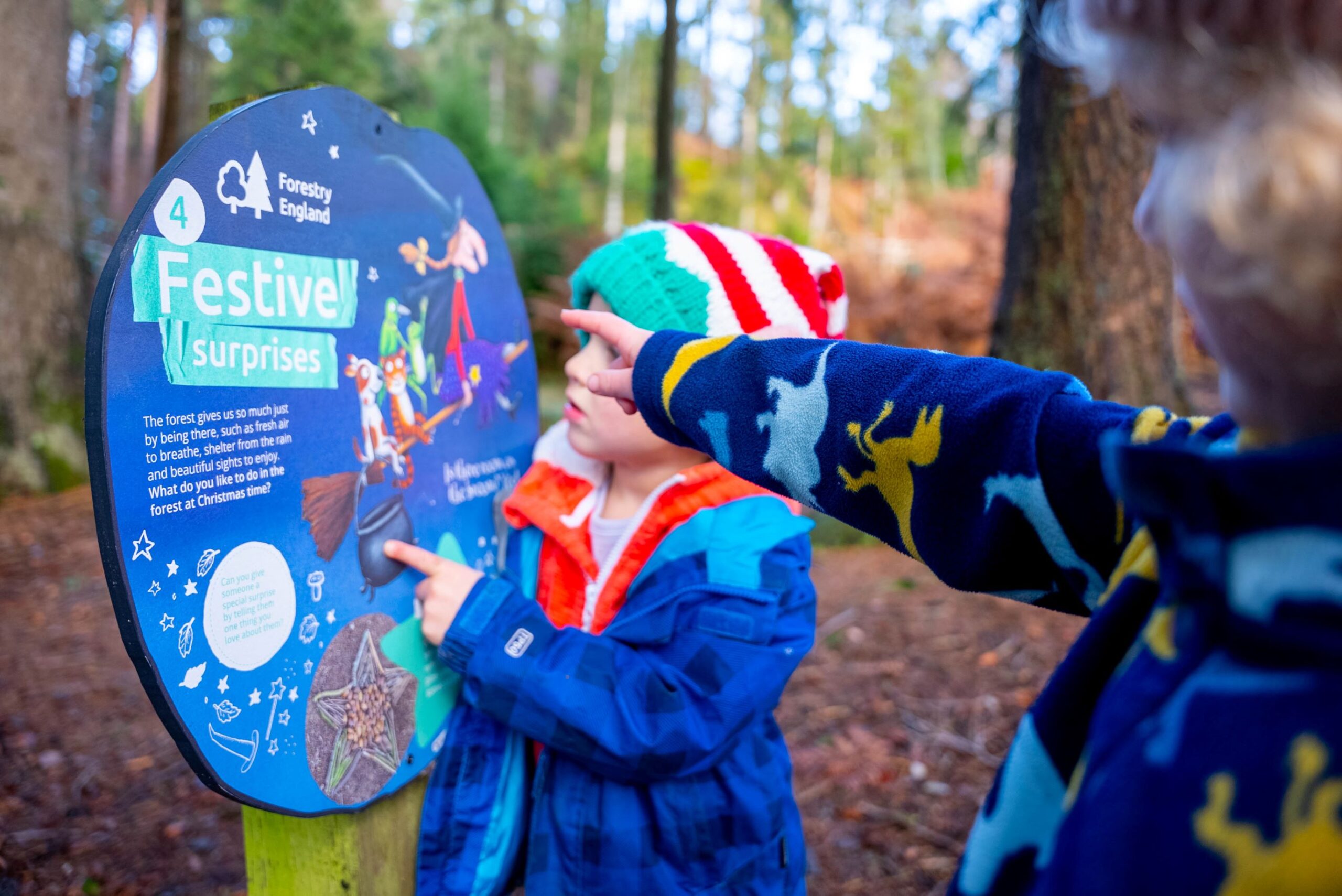 Forestry England launches magical Room on the Broom trail