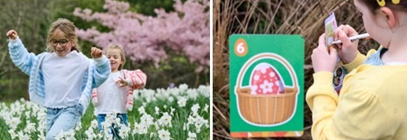 Crack the Case This Easter: RHS Gardens Launch Family Detective Trails and Spring Adventures