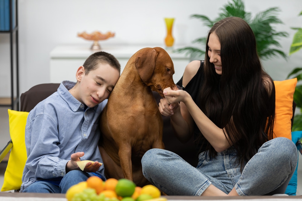 Teaching Kids How to Stay Calm During a Family Pet Emergency